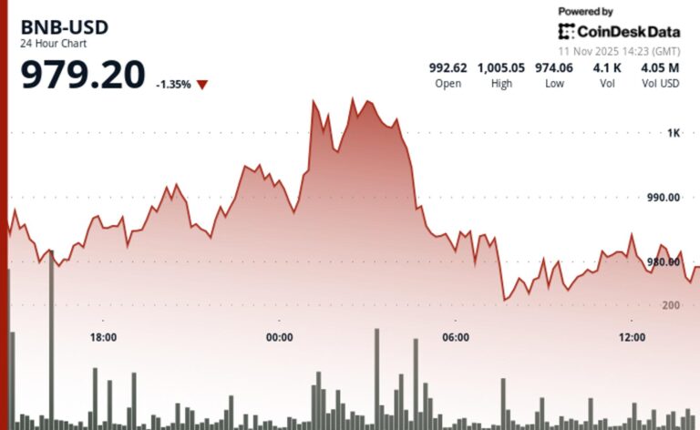 BNB Slips Below $1,000 as Selling Pressure Pushes Token Into Bearish Territory