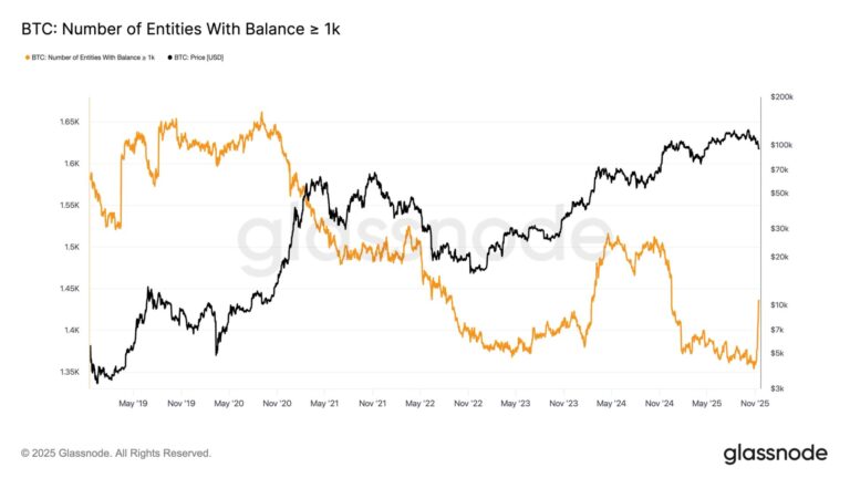 Bitcoin Accumulation Amid Market Weakness? Sharp Rise in 1K BTC Holders Suggests So