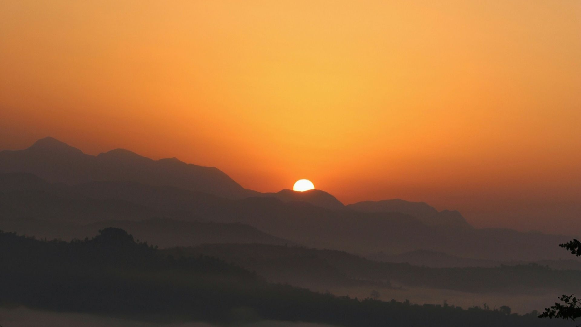 Sunrise Debut Streamlines Solana Token Imports as Monad Goes Live