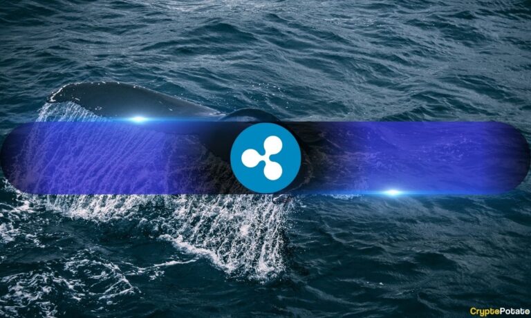 XRP Price Stalls Despite Bullish Fundamentals as Whales Keep Selling