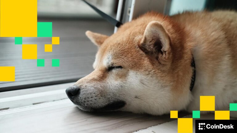 Price-action of dog memecoins dogecoin, shiba inu muted amid thin holiday liquidity