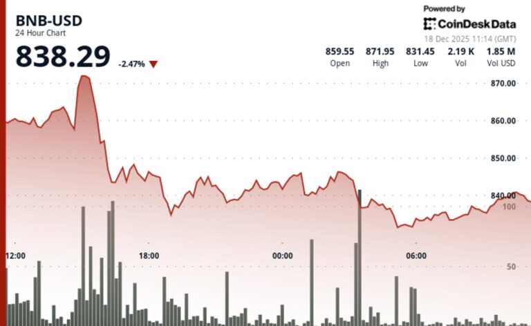 BNB holds onto fourth-largest crypto spot even as price falls, selling pressure builds