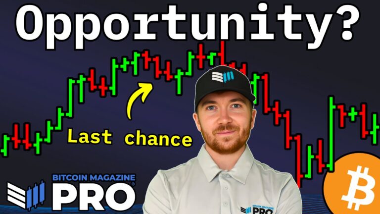 Bitcoin Treasury Companies Are Undervalued