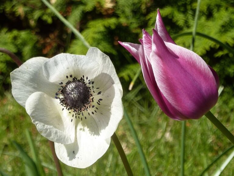 Crypto Markets Today: Bitcoin Holds Near Weekly High, Altcoins Remain Subdued