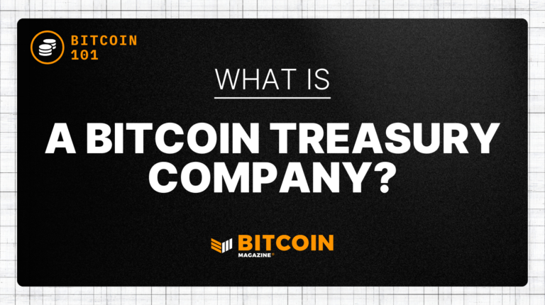 What is a Bitcoin Treasury Company?