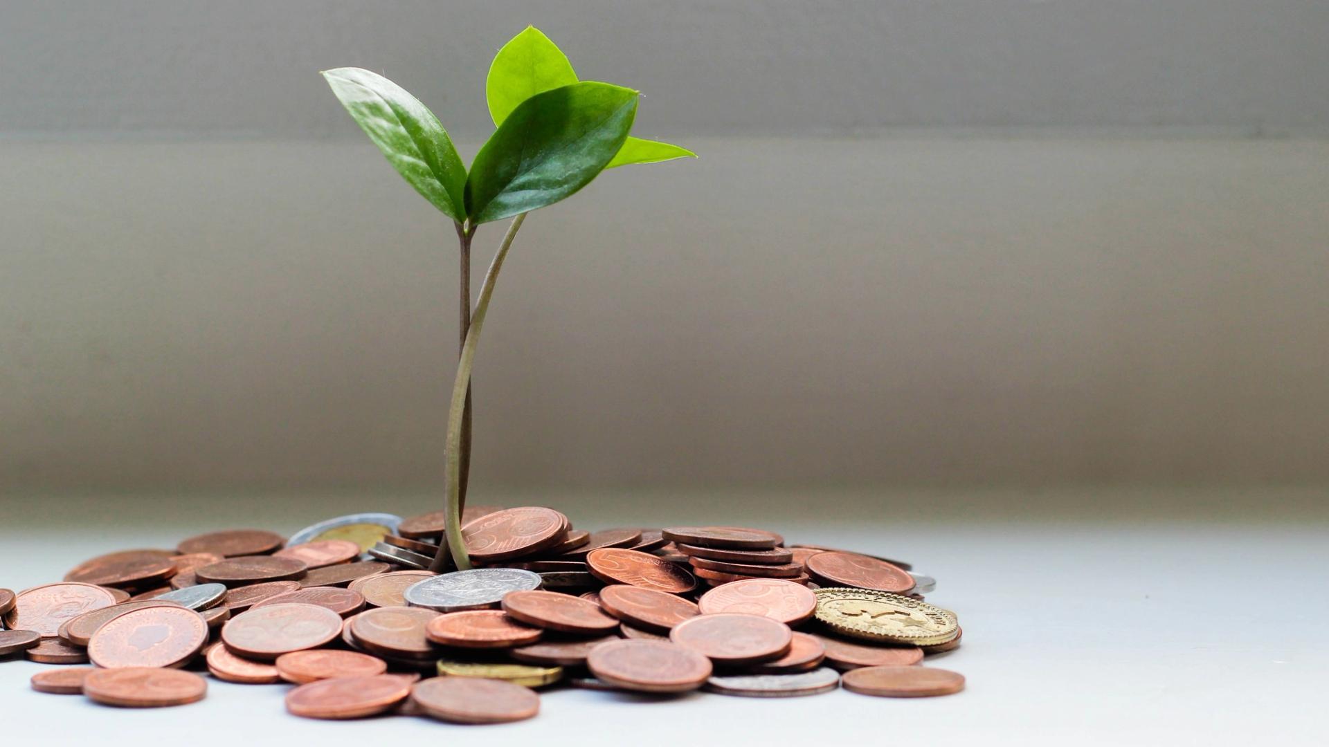 Optimism community begins vote on OP token buybacks