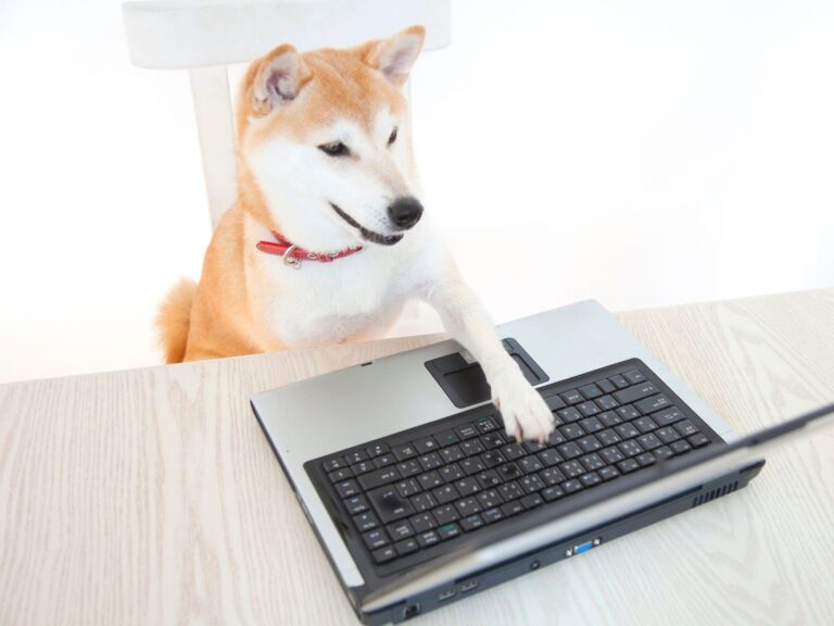 Crypto Markets Today: Bitcoin tests key resistance as memecoin trading volume explodes