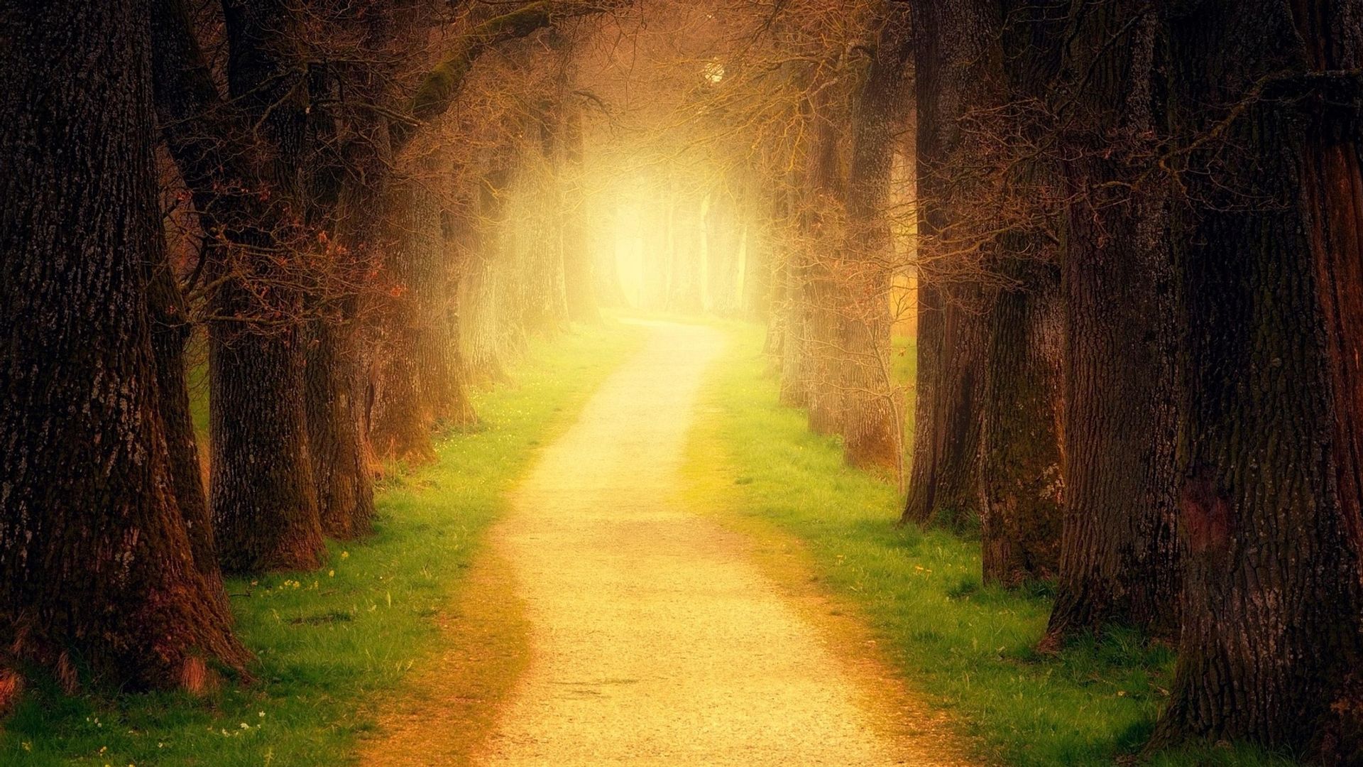 Bitcoin opens path to $100,000 paved by gold: Crypto Daybook Americas