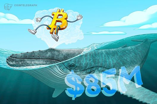 Satoshi-era whale moves $85M in Bitcoin after 13 years