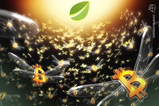 Bitfinex Bitcoin longs hit 2-year high: Is a rally to $100K possible?