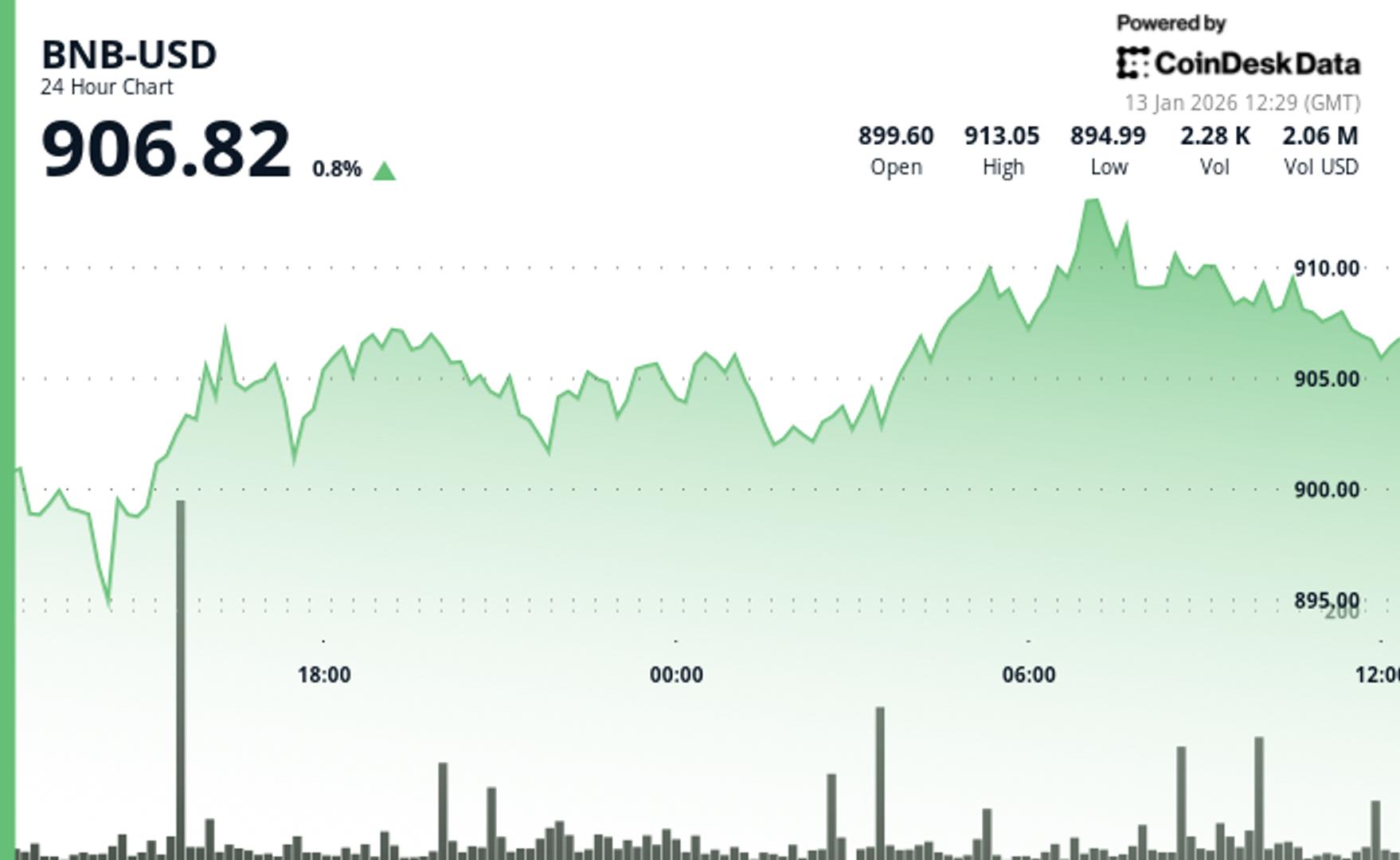 BNB's price holds above $900 after slight gain but fails to break key resistance
