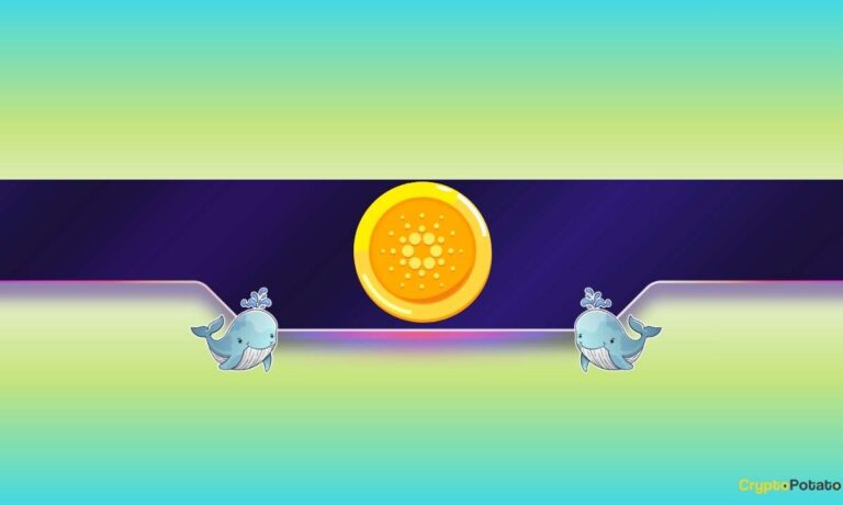210,000,000 ADA Bought in 3 Weeks: What Do Cardano Whales Know?