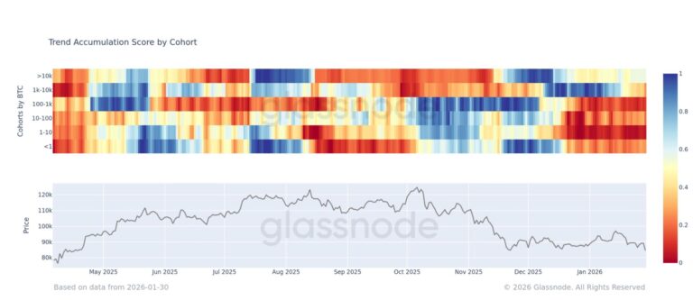 Retail traders are running for the exit amid bitcoin's selloff, while 'mega-whales' are quietly buying the dip