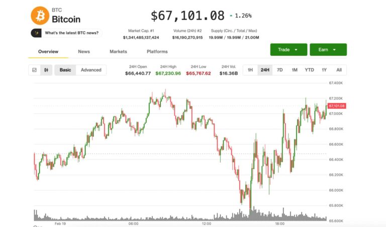 Bitcoin steadies near $67,000 as traders pay for crash protection