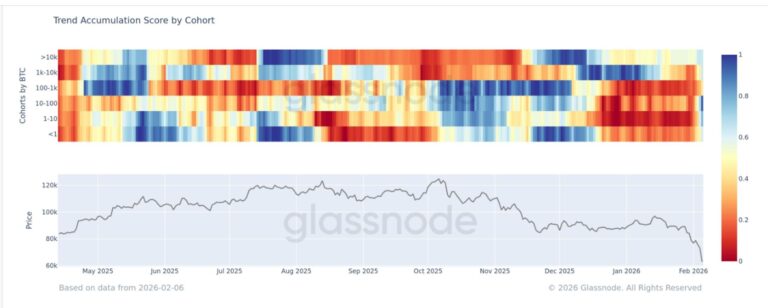 Broad-based bitcoin accumulation emerges after sharp capitulation