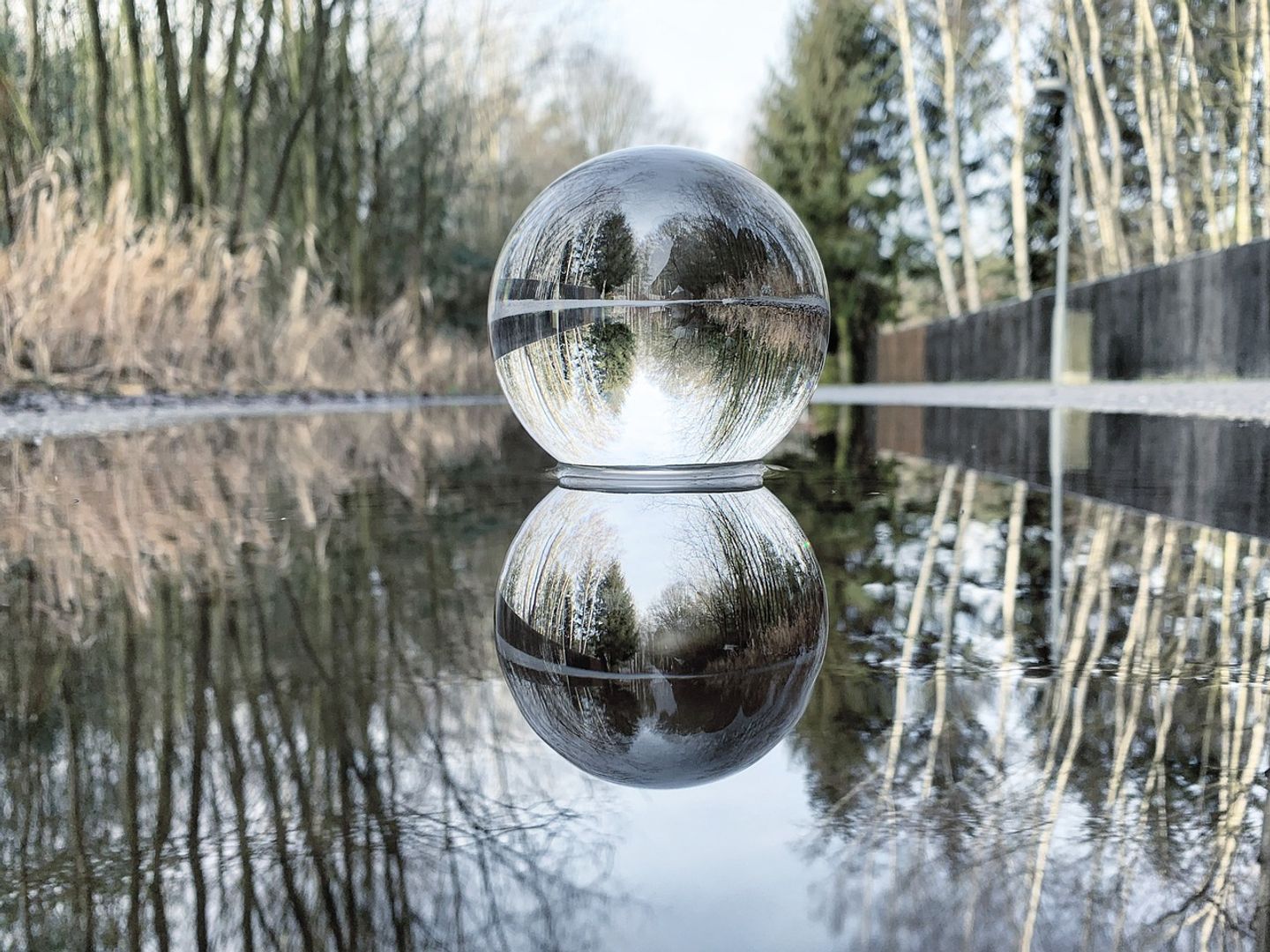 ETF that feasts on carnage in bitcoin-holder Strategy hits record high