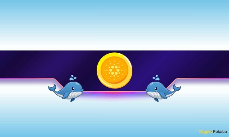 820,000,000 ADA in 6 Months: Why Cardano Whales Are Buying the Dip in Bulk
