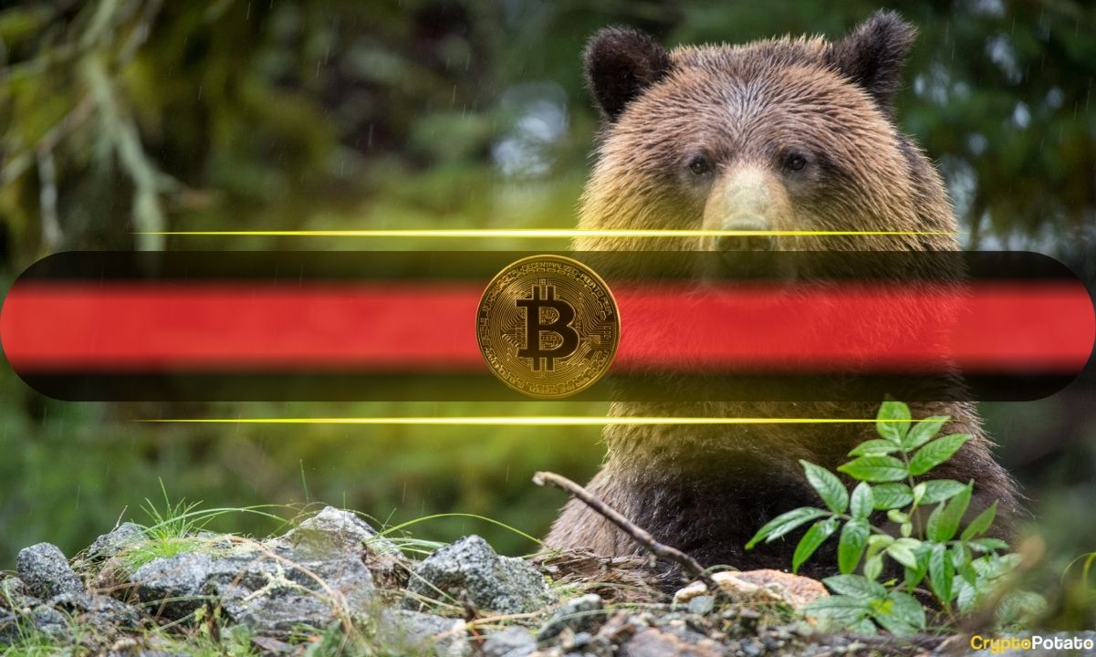 The ‘Bear Market Signal’: This Bitcoin Indicator Just Flashed Red After 3 Years