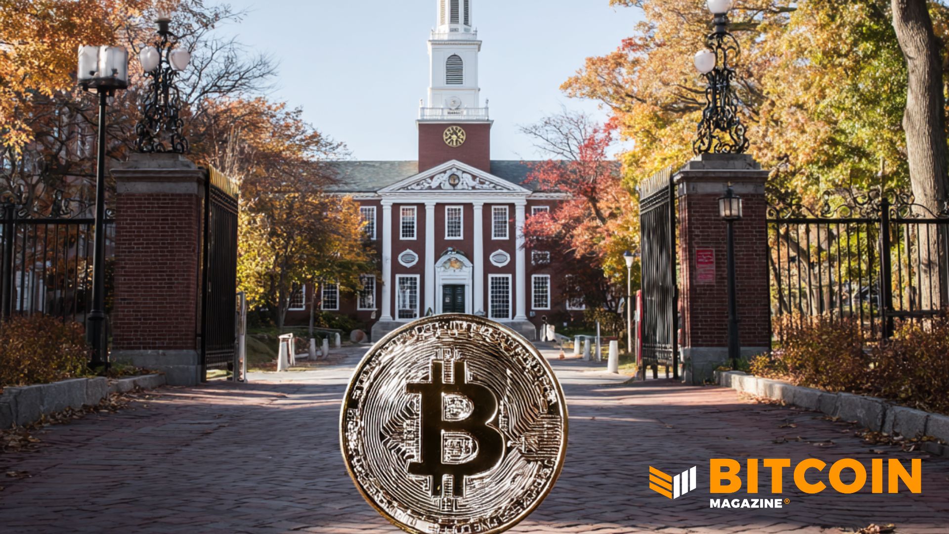 Harvard Trims Bitcoin Position by 21% in Q4 Portfolio Shift