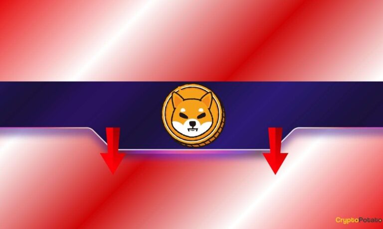 Shiba Inu (SHIB) Plunges by 20% in 2 Weeks: Another 80% Crash Comes Next?