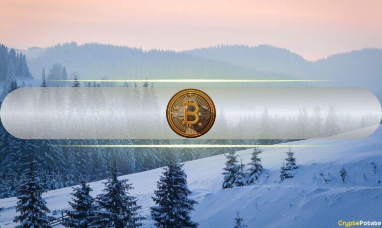 This Crypto Winter Much Healthier Than Previous Cycles: Bitwise CIO