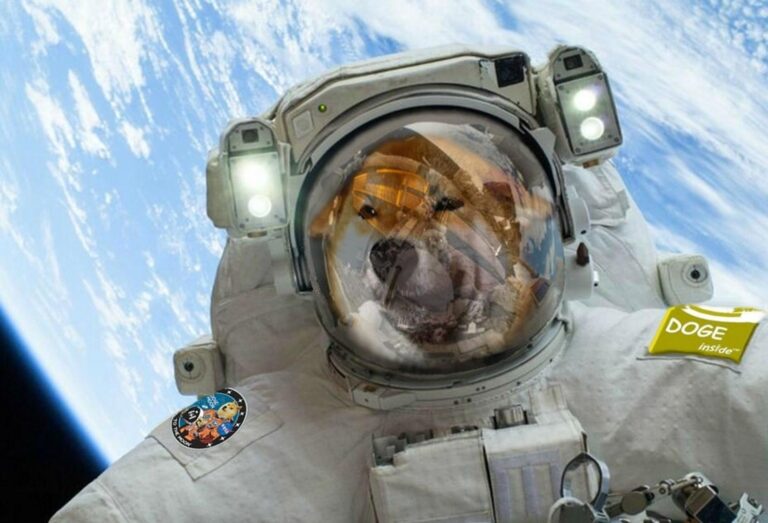 Elon Musk says SpaceX may put DOGE 'on the moon' next year