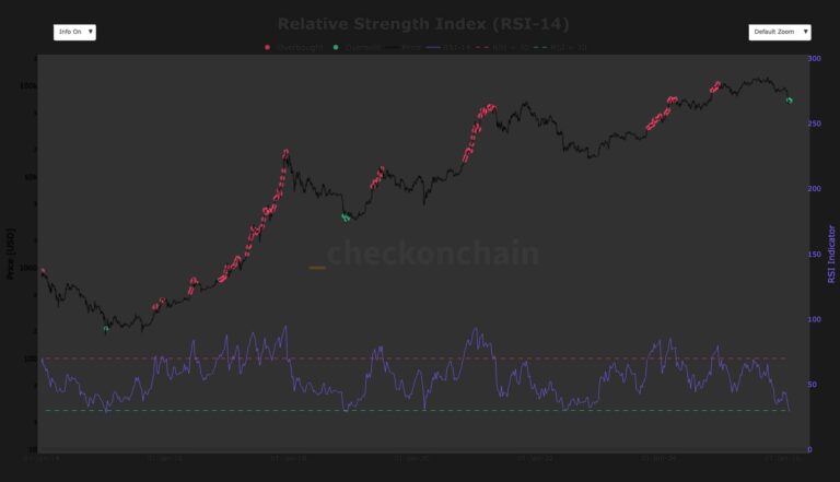 Why bitcoin’s rare oversold RSI crash signals a long, slow grind ahead