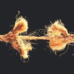 Bitcoin’s Worst Relative Performance Since FTX Era Raises Eyebrows