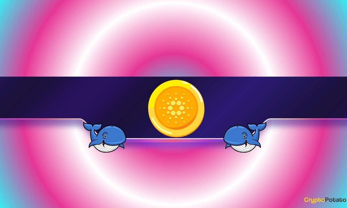 230,000,000 ADA in 1 Week: Is Cardano Facing a Renewed Drop?