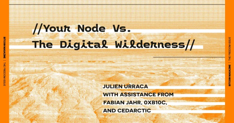The Core Issue: Your Node Vs. The Digital Wilderness