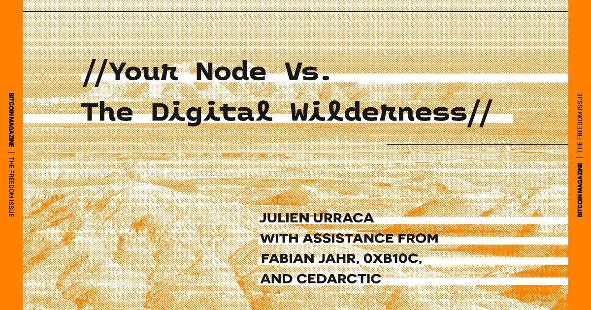 The Core Issue: Your Node Vs. The Digital Wilderness