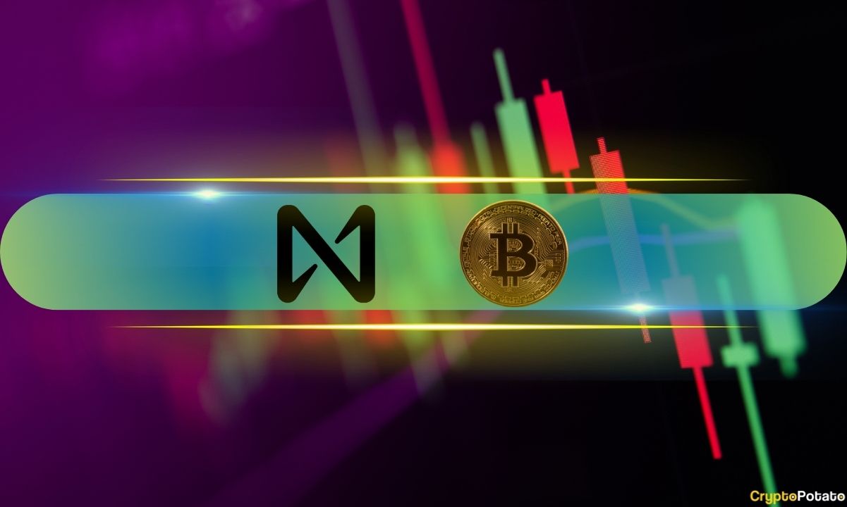 NEAR Skyrockets 15% Daily, BTC Price Plummets Below $67K: Market Watch