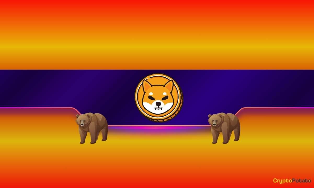Shiba Inu (SHIB) Plunges by 17% in 2 Weeks: Is a 75% Crash Next?