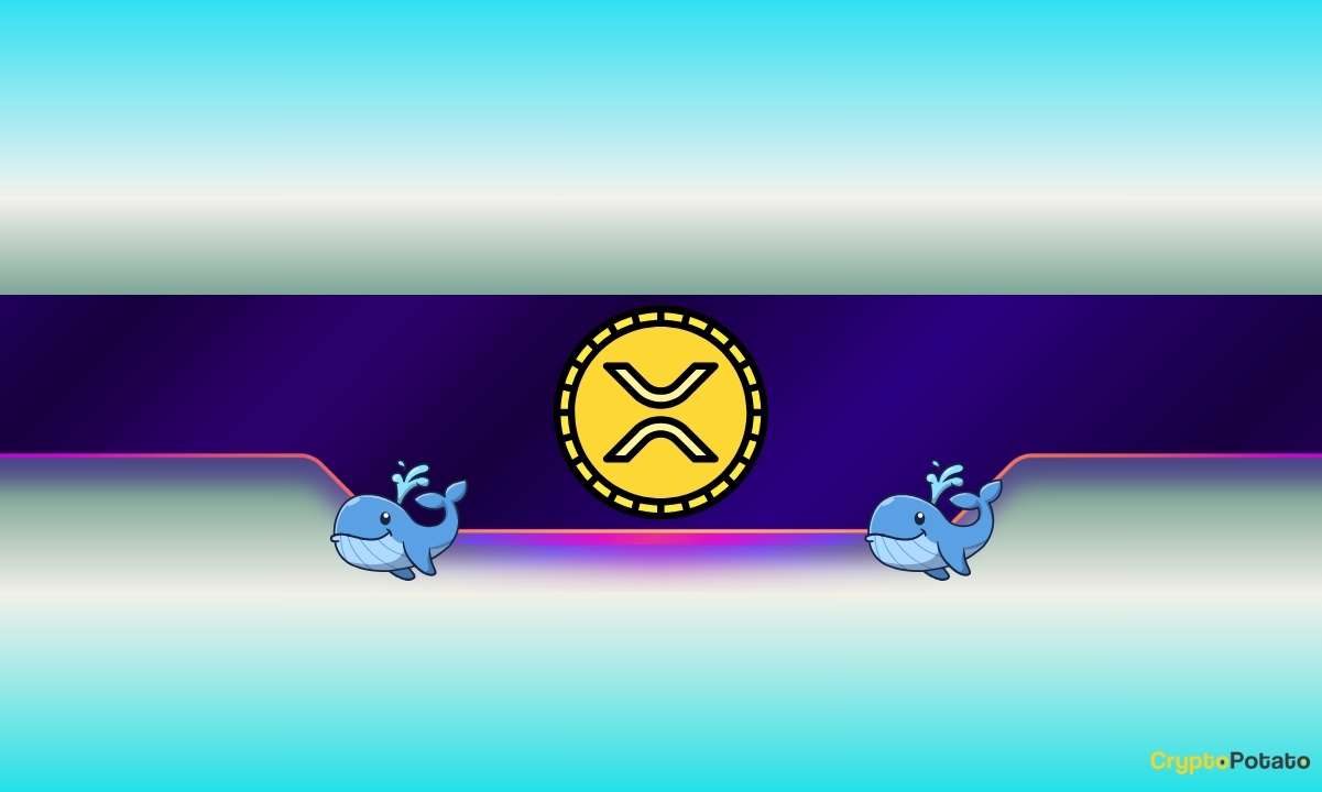 Ripple Whales Are Still Buying: So Why Is XRP’s Price Down Today?