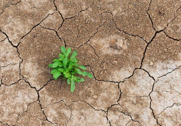 DeFi’s shakeout is a stress test, not a death sentence