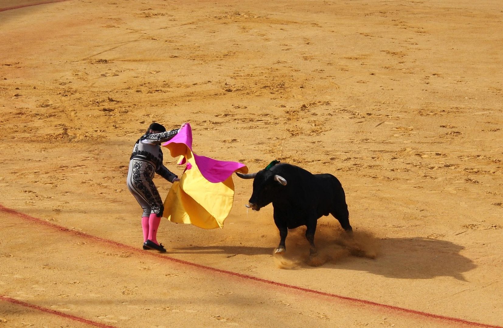 Bitcoin’s $80,000 bull bet just took over the market