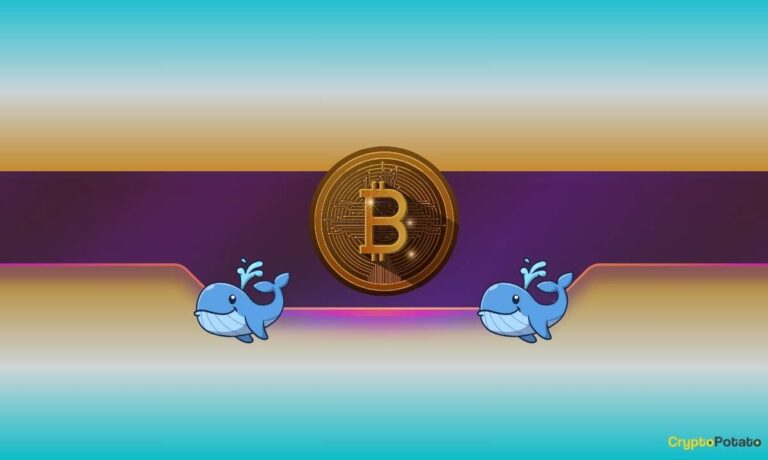 Bitcoin Whales Go on Accumulation Spree as BTC Price Reaches ‘Make-or-Break’ Point