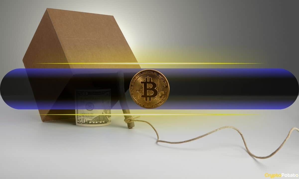 Bitcoin Rally Could Be a Trap Before Major Collapse, Says Analyst