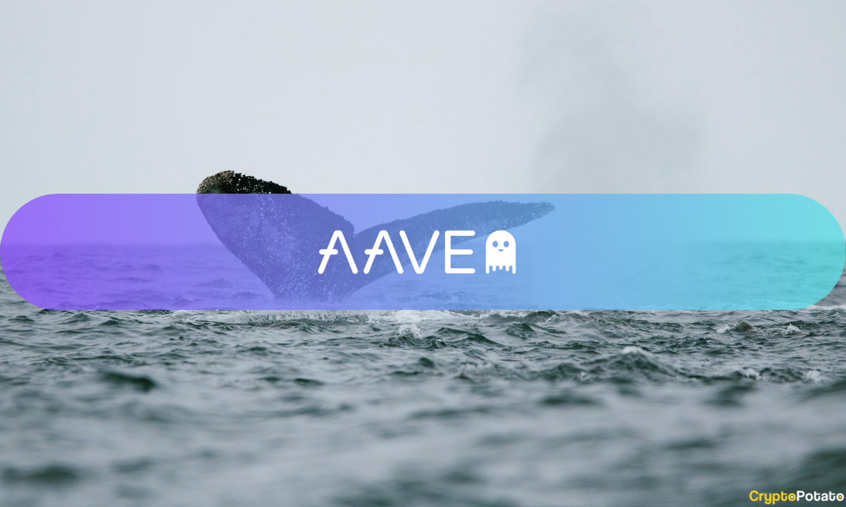 Whales Circle AAVE Amid Chaos: Is This Another Market Bottom Signal?