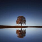 Bitcoin is less volatile than South Korea's stock market right now