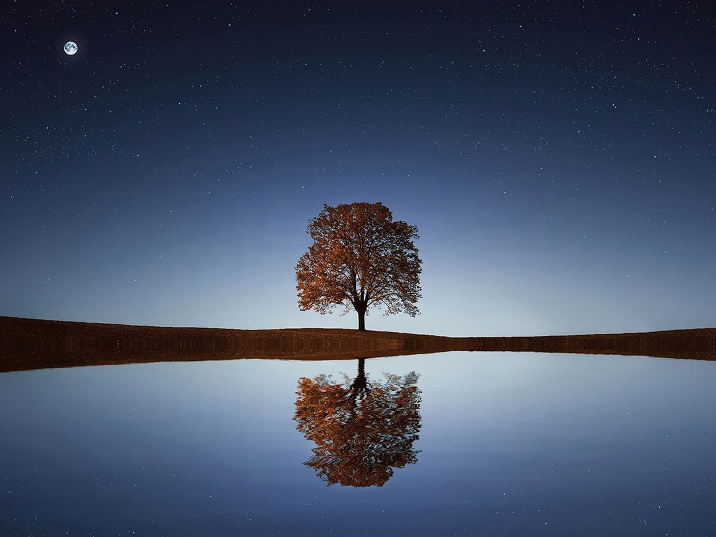 Bitcoin is less volatile than South Korea's stock market right now