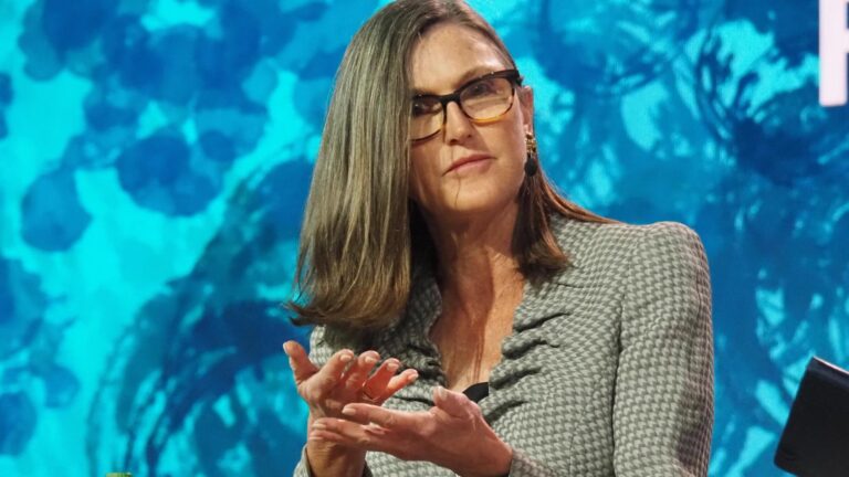 Cathie Wood’s Ark Invest chases Circle stock as it hits a 2-month high