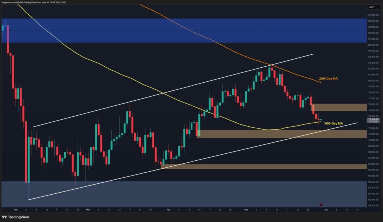 Bitcoin Price Analysis: BTC Eyes $70K-$72K Support Amid Market Weakness