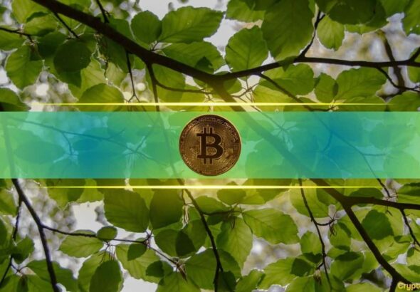 Bitcoin Ended April With Biggest Monthly Gains in a Year: What’s Next?