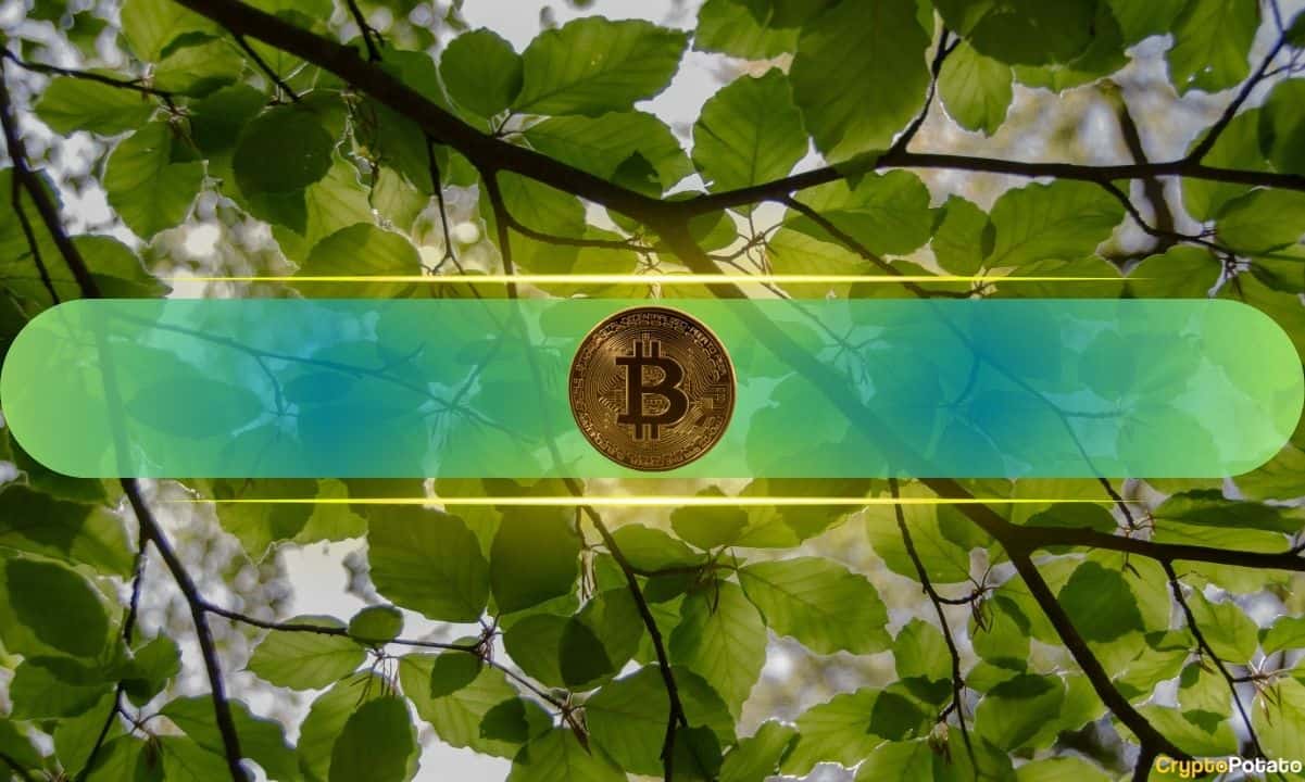 Bitcoin Ended April With Biggest Monthly Gains in a Year: What’s Next?