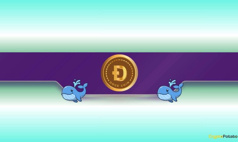 DOGE Price Dumps to Monthly Lows but Dogecoin Whales Load Up