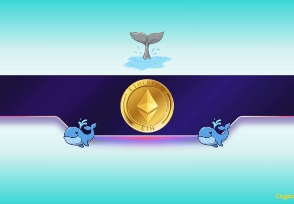 Ethereum Whales Go on Accumulation Spree as ETH Awaits Major Trigger