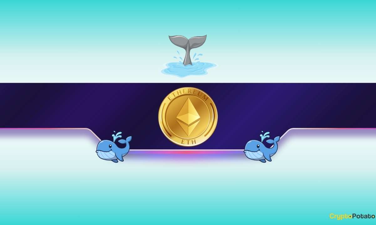 Ethereum Whales Go on Accumulation Spree as ETH Awaits Major Trigger