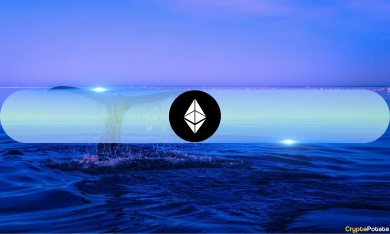 Ethereum’s Largest Wallets Now Control Over 22% of Supply Amid Fresh Accumulation Wave