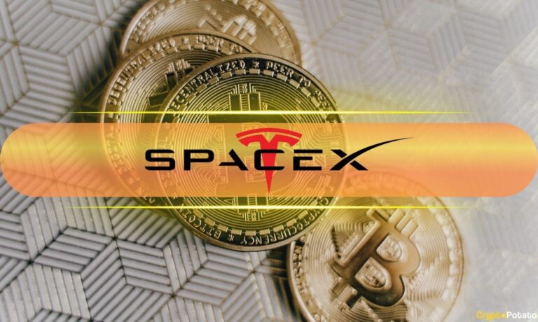 SpaceX Reveals How Much Bitcoin (BTC) It Owns